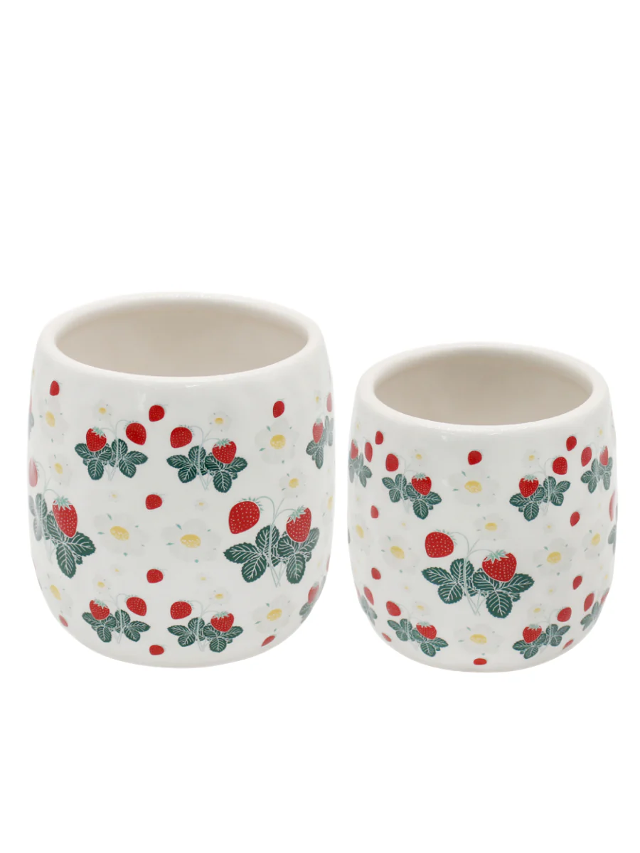 Berries in Bloom Ceramic Planter - Multiple Options