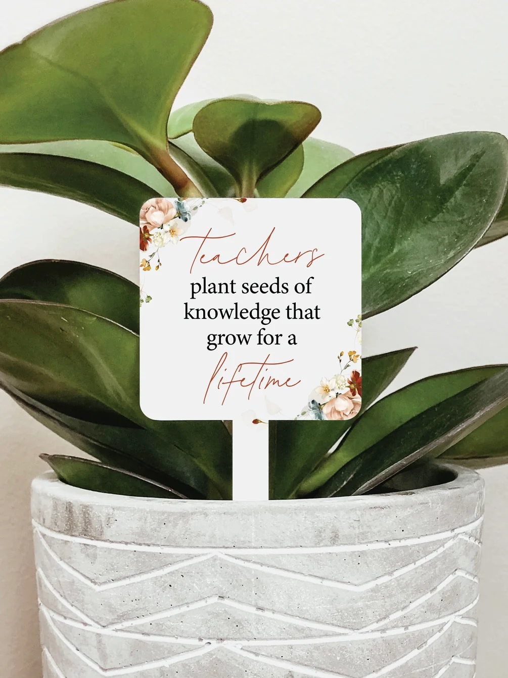 Booming Beauty Acrylic Plant Marker - 3 options! - Image 4