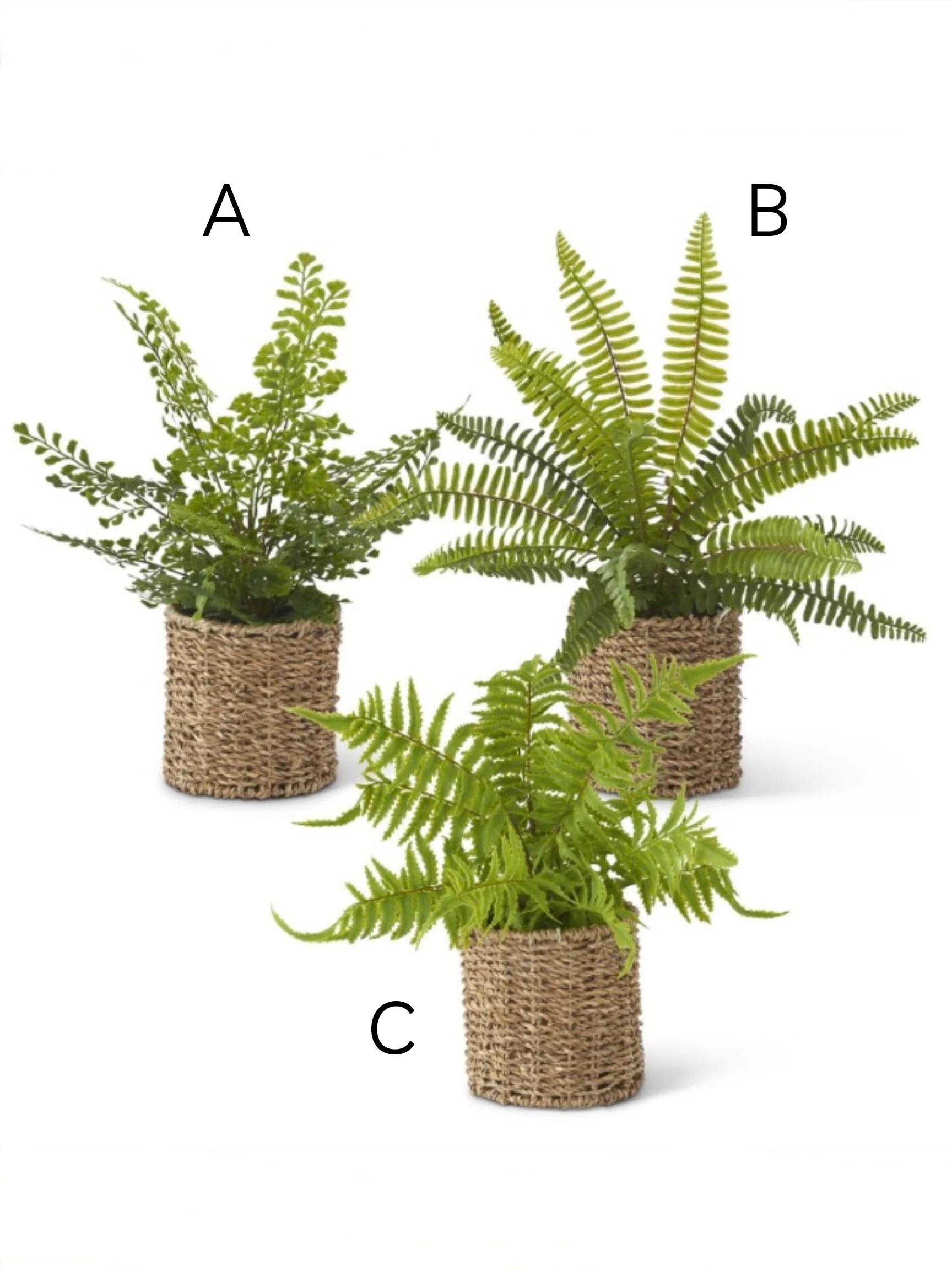 Fancy Seeing You Decor - Multiple Options! - Image 2