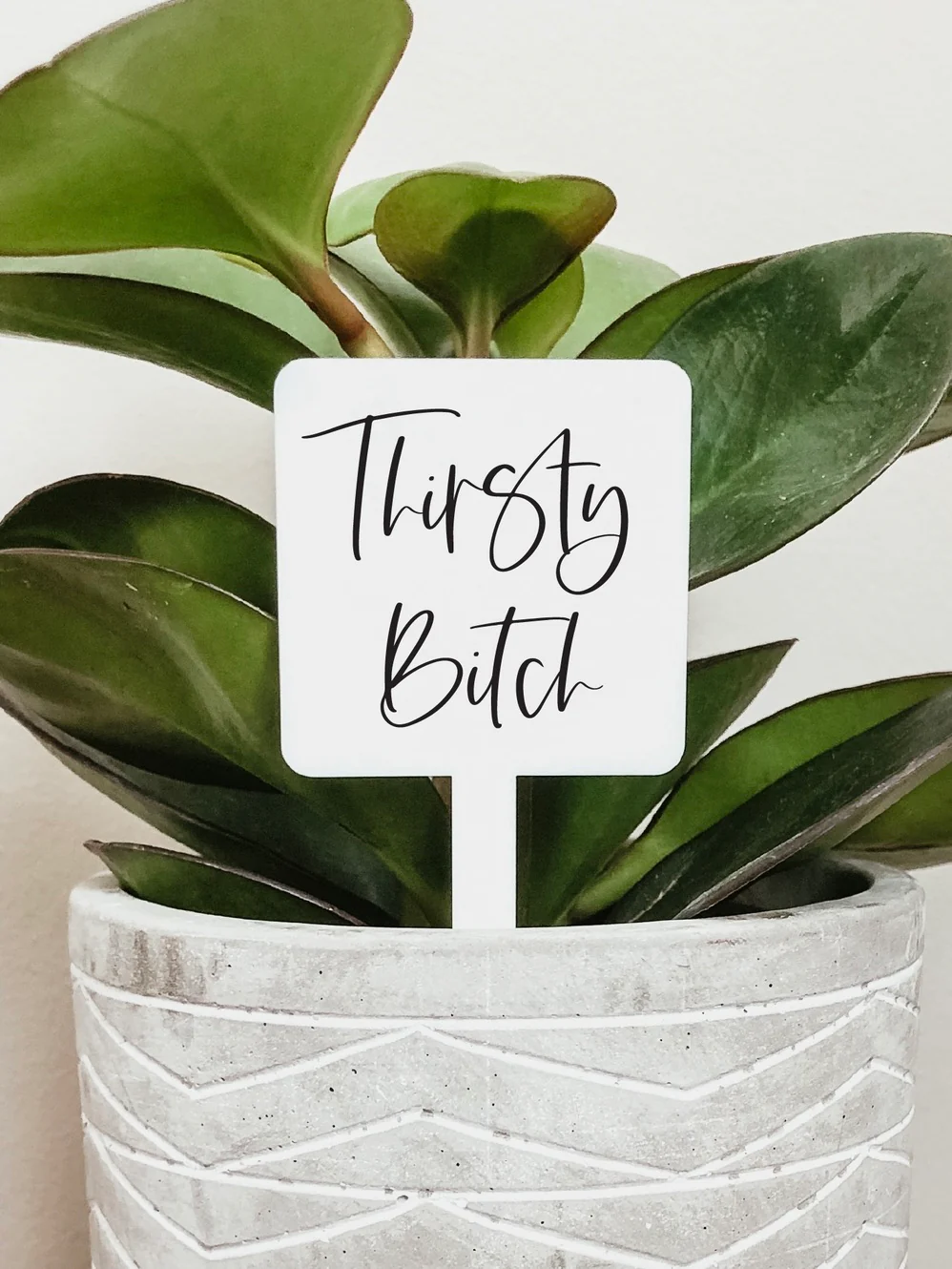 Floral Brightness Acrylic Plant Marker - 5 options! - Image 3