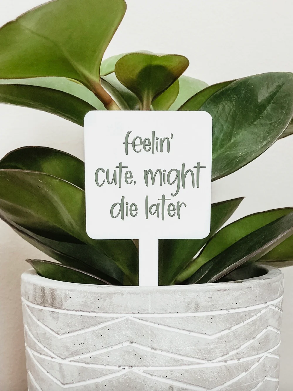 Floral Brightness Acrylic Plant Marker - 5 options! - Image 5