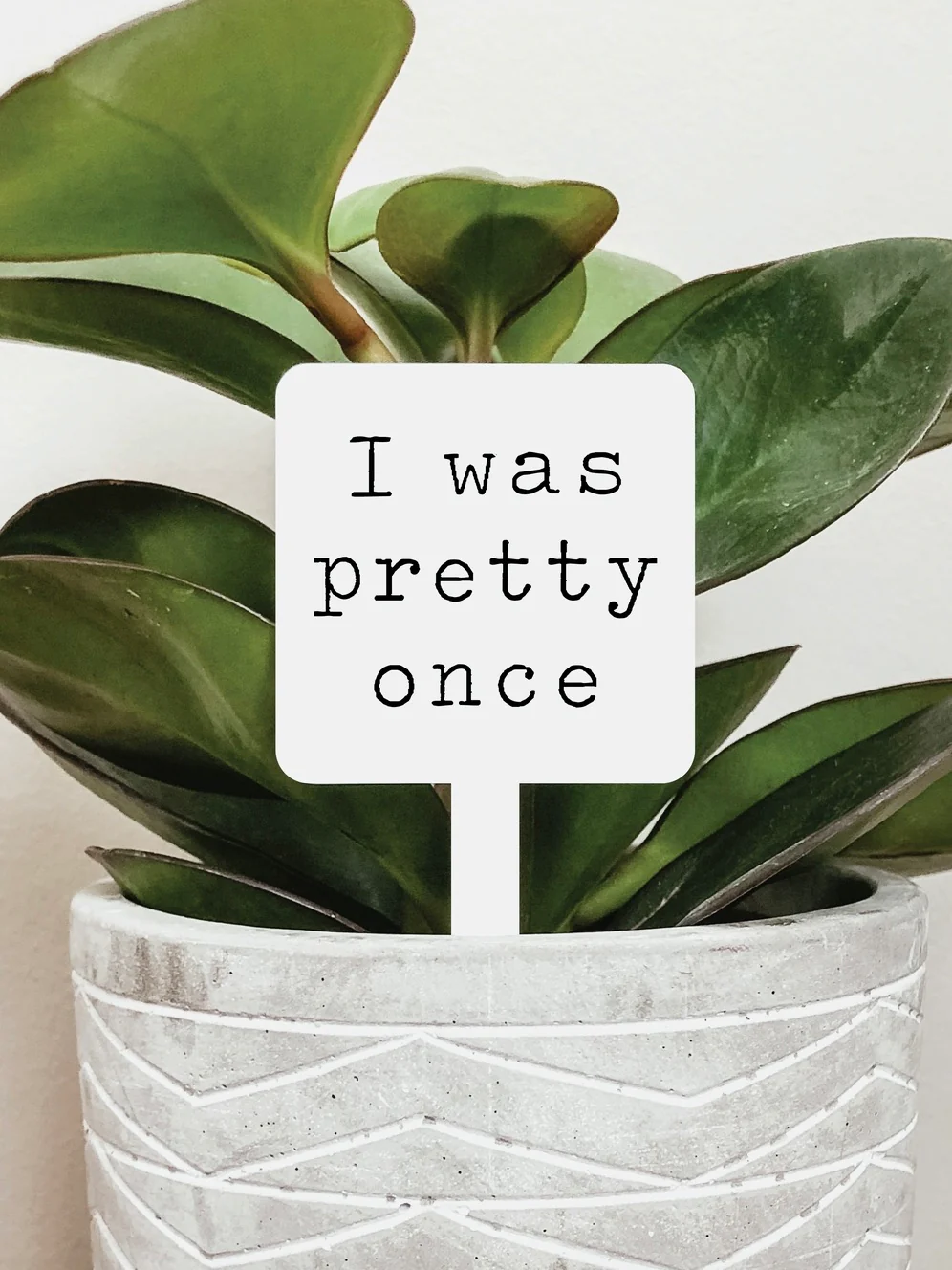 Floral Brightness Acrylic Plant Marker - 5 options! - Image 6