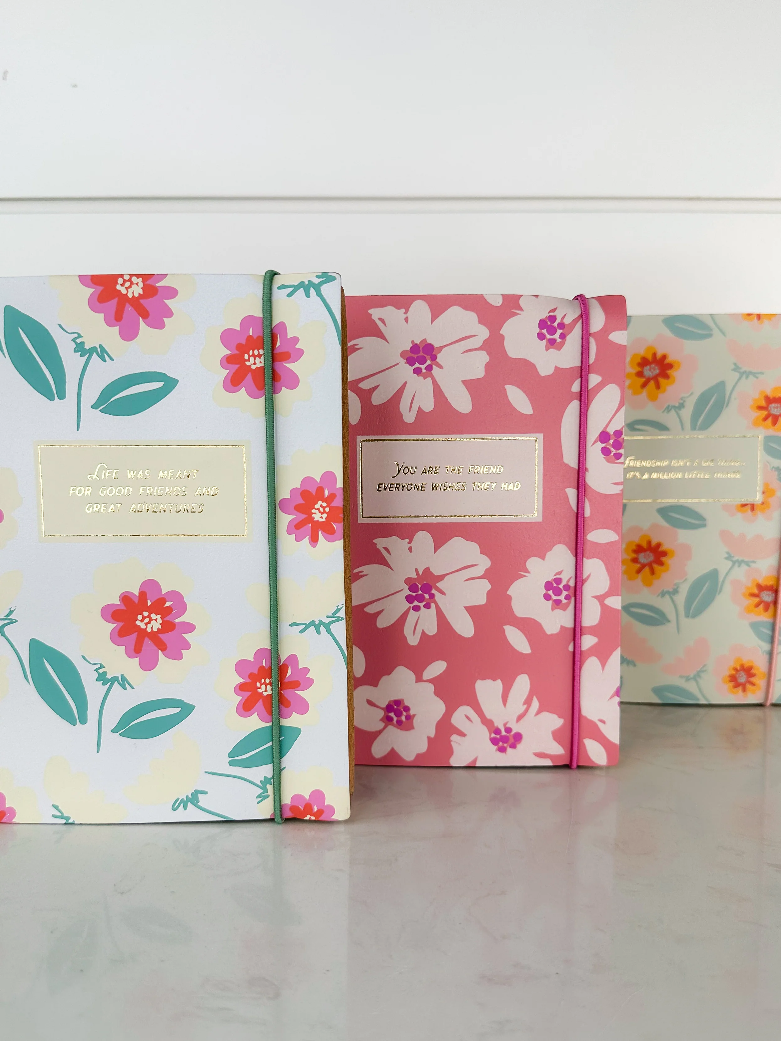 Friendship Journal - 3 colors!