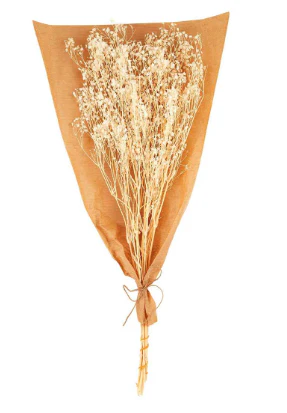 Preserved Baby's Breath Stems - Image 2
