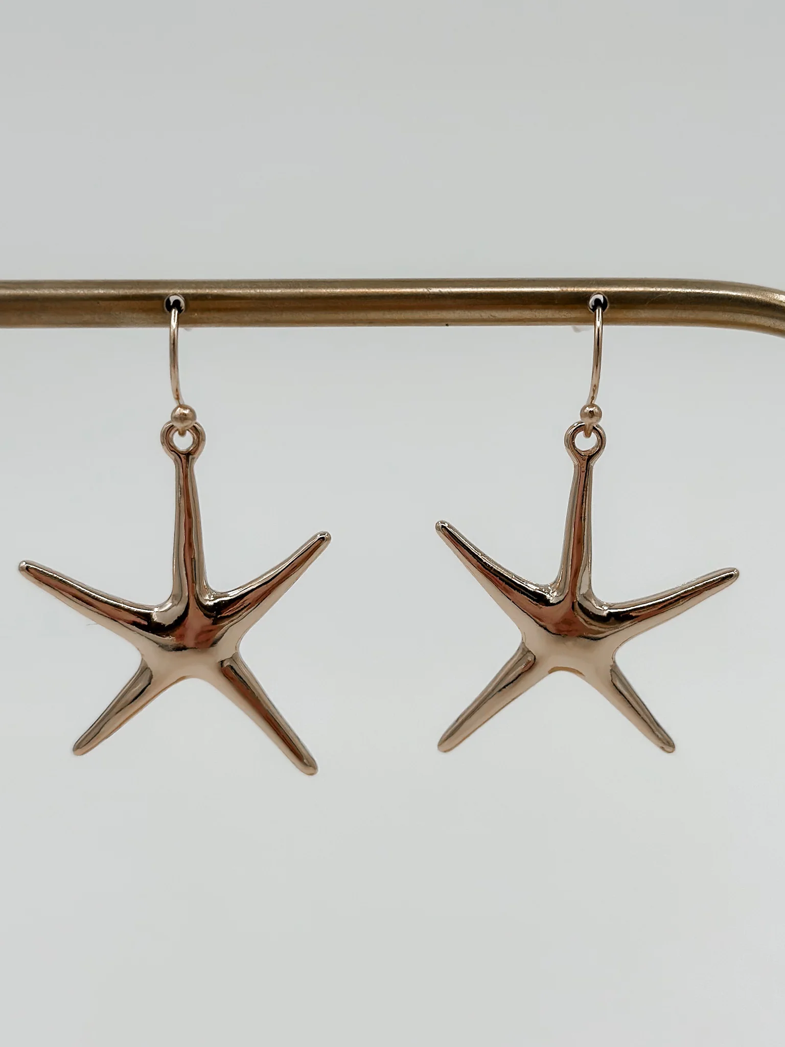 Star of The Show Dangle Earrings - 2 options!